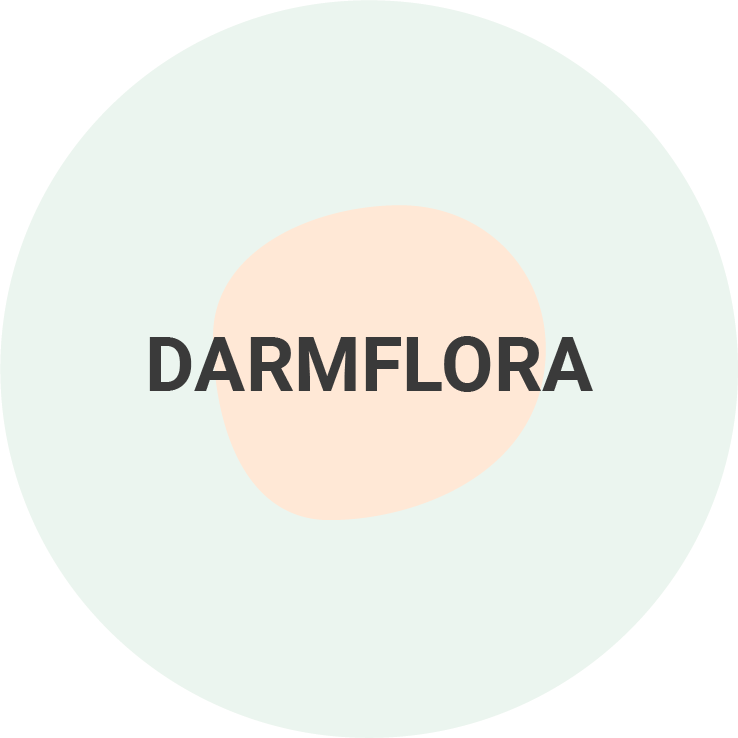 Darmflora