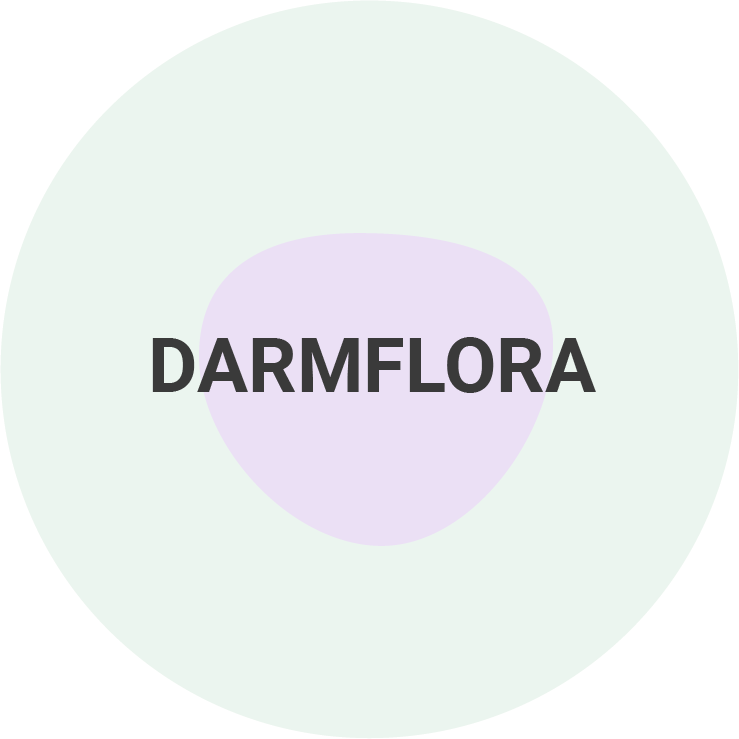 Darmflora