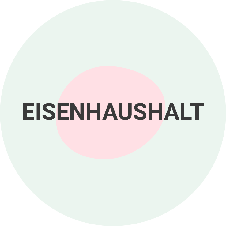 Eisenhaushalt
