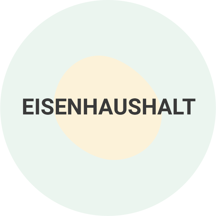 Eisenhaushalt