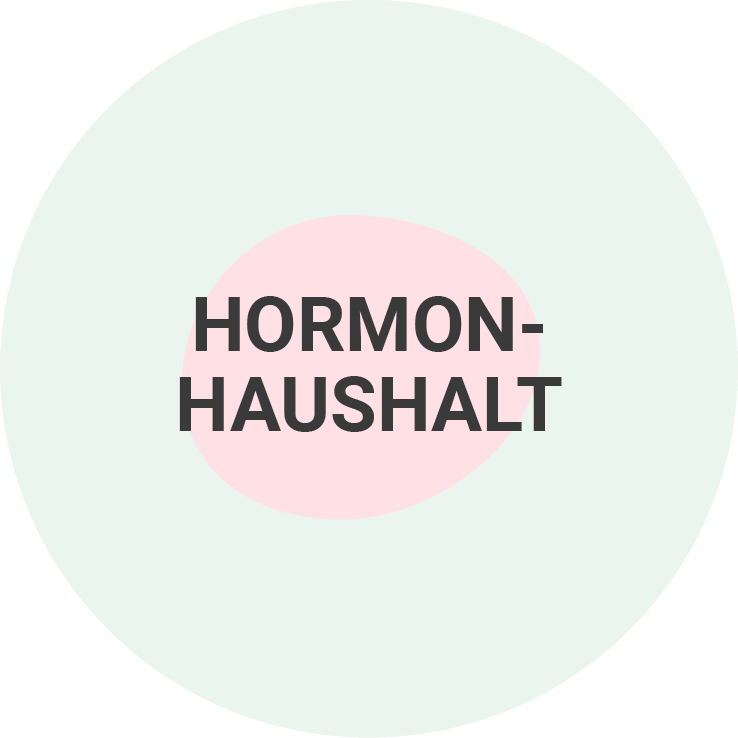 Hormonhaushalt