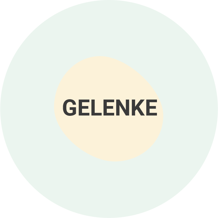 Gelenke