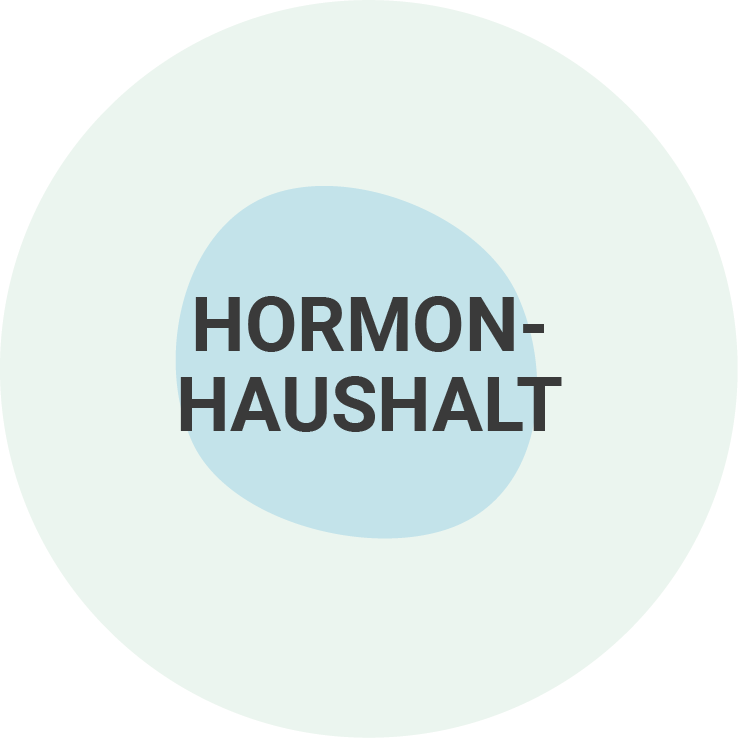 Hormonhaushalt