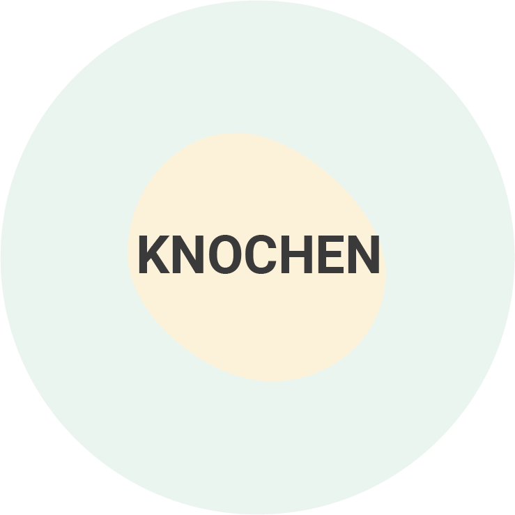 Knochen