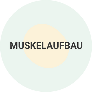 Muskelaufbau