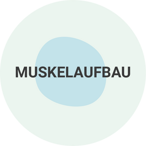 Muskelaufbau