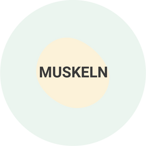 Muskeln