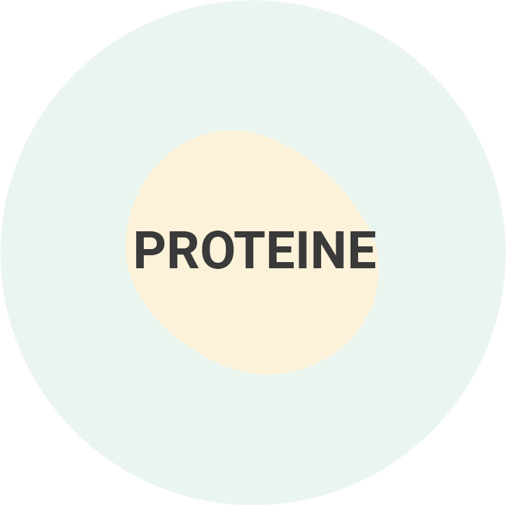 Proteine