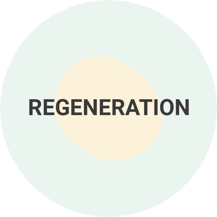 Regeneration & Post-Workout