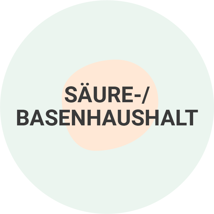 Säure-/ Basenhaushalt