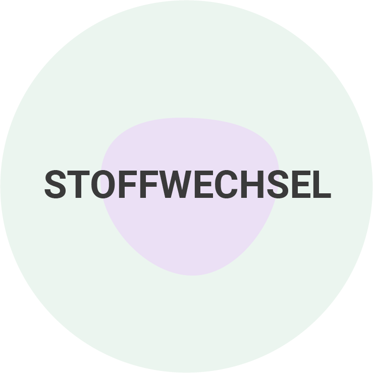 Stoffwechsel