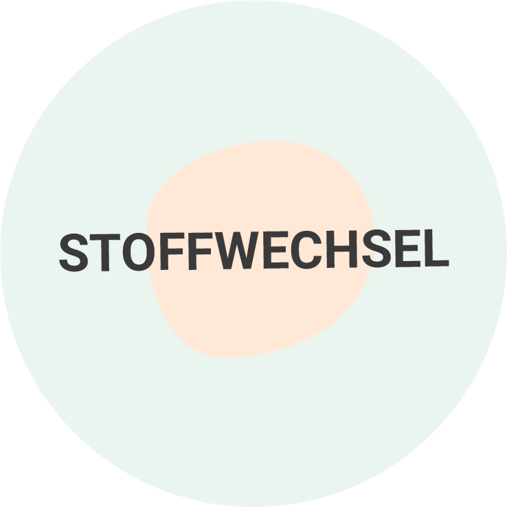 Stoffwechsel