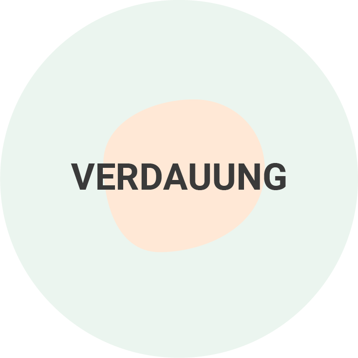 Verdauung