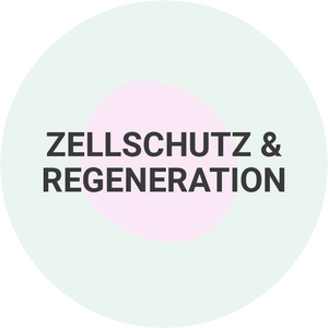 Zellschutz & Regeneration