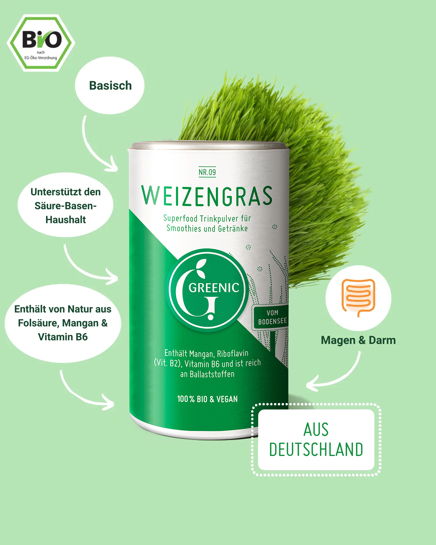 Bio Weizengras Pulver 150g