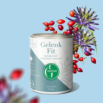 Gelenk Fit, Bio Pulver für Knochen & Knorpel 100g